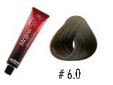 MAJIREL 6.0