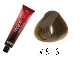MAJIREL 8.13
