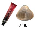 MAJIREL 10.1