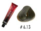 MAJIREL 6.13