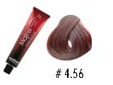 MAJIREL 4.56