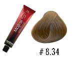 MAJIREL 8.34