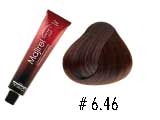 MAJIREL 6.46
